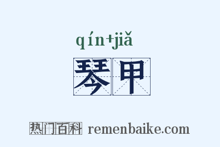 琴甲是什么意思的图片